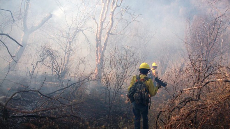 Incendio nubla cielo de municipios alrededor de la Malinche